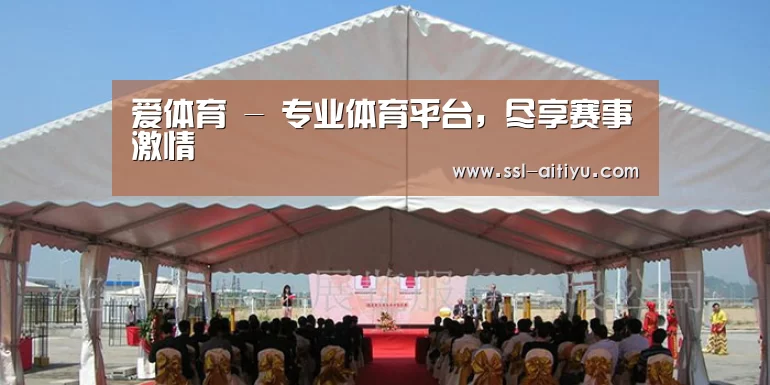 案例标题三